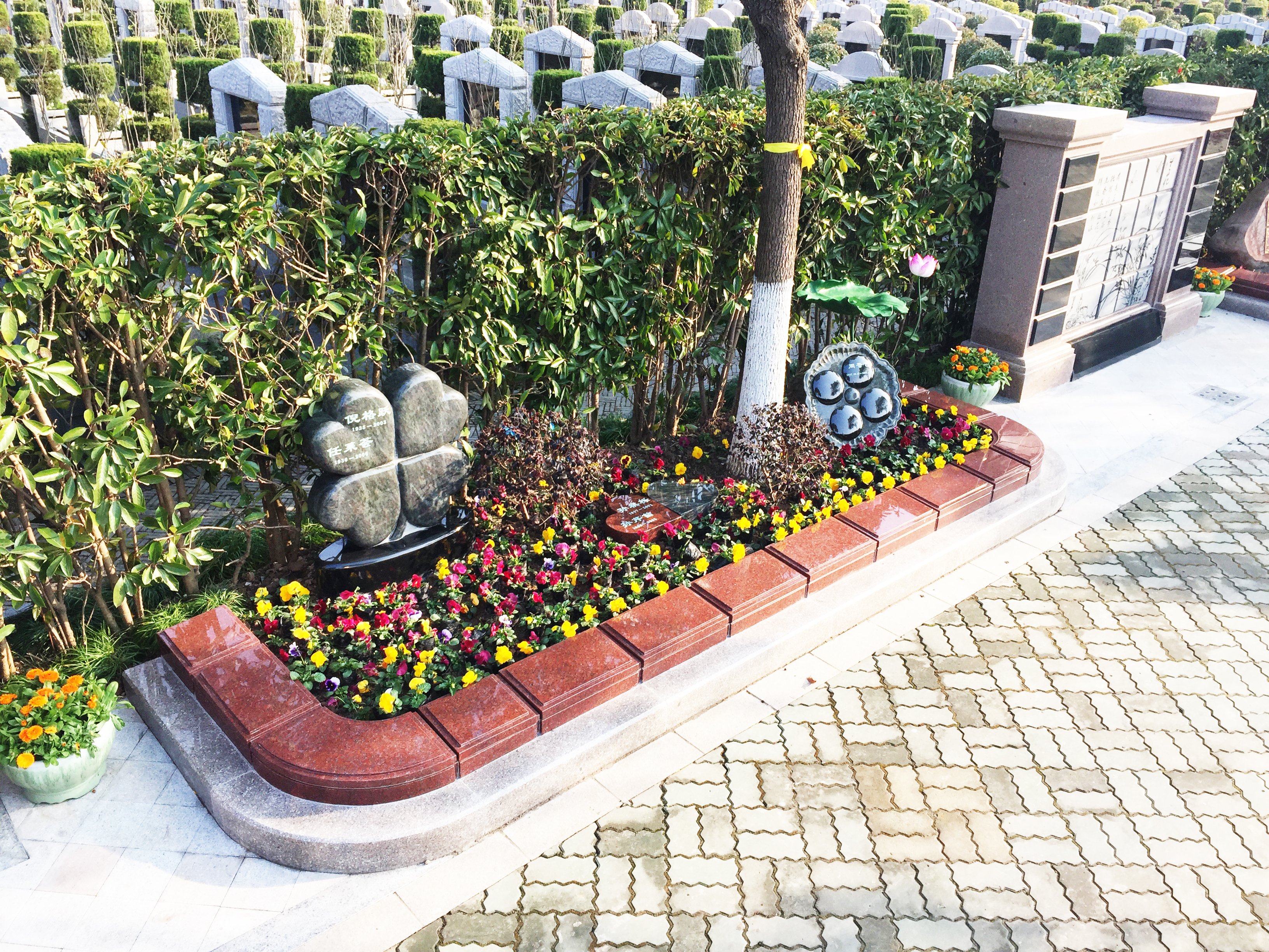 122cc太阳集成游戏(中国)有限公司官网