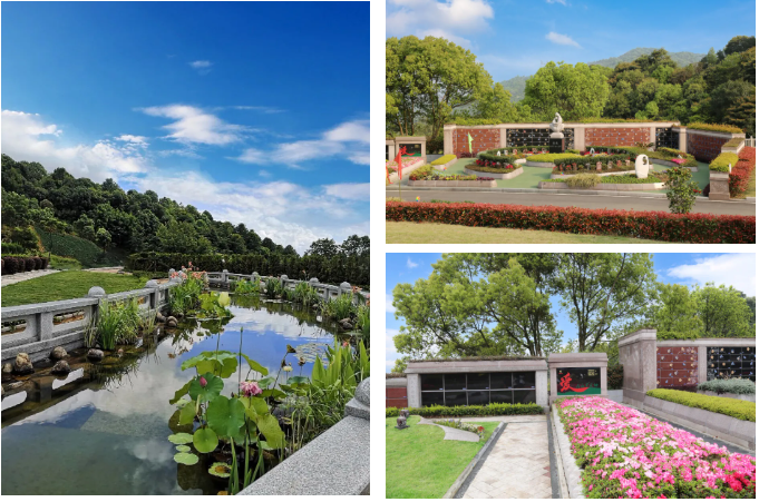 122cc太阳集成游戏(中国)有限公司官网