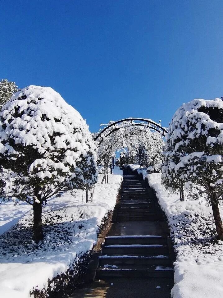 122cc太阳集成游戏(中国)有限公司官网