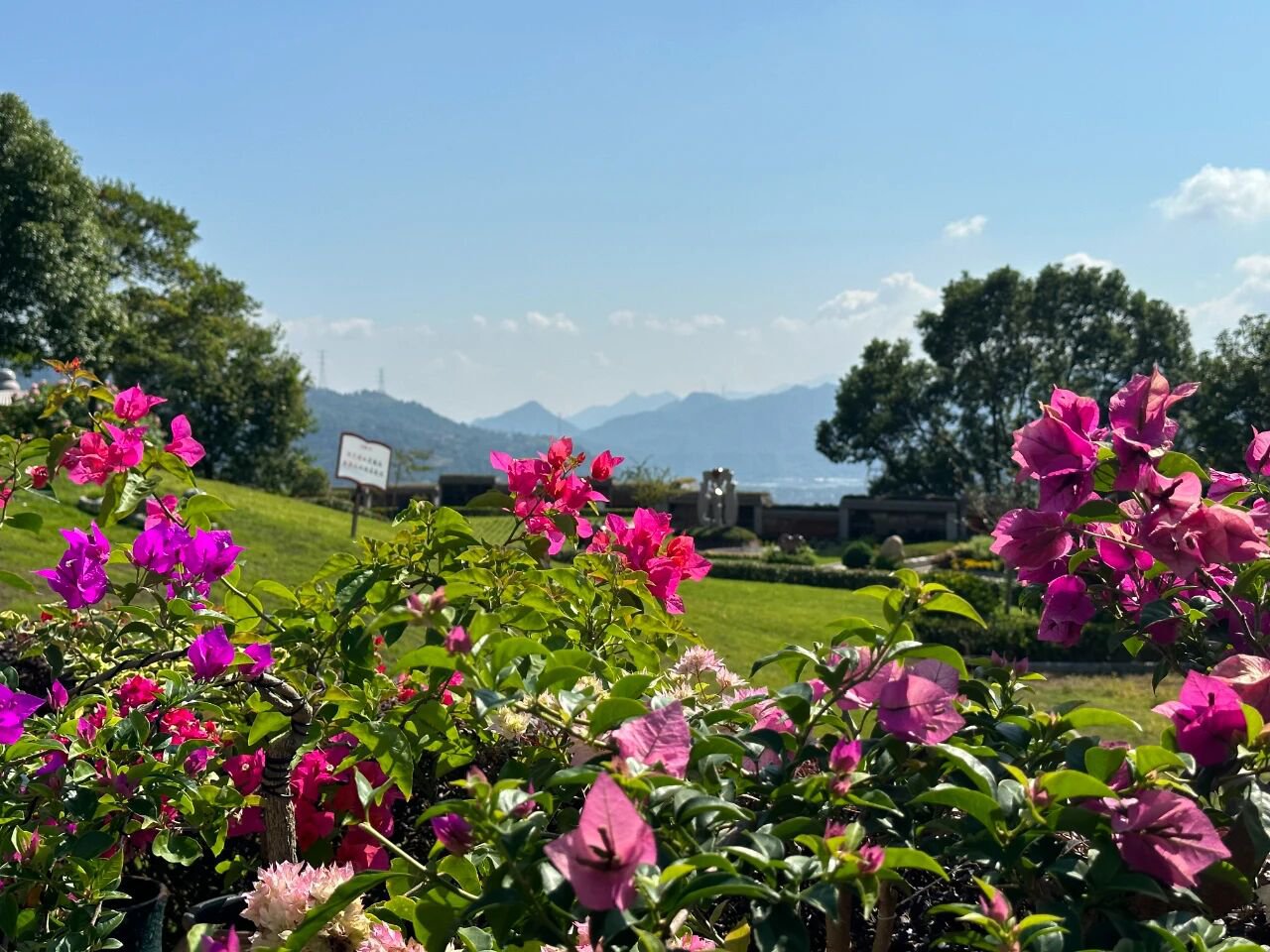 122cc太阳集成游戏(中国)有限公司官网