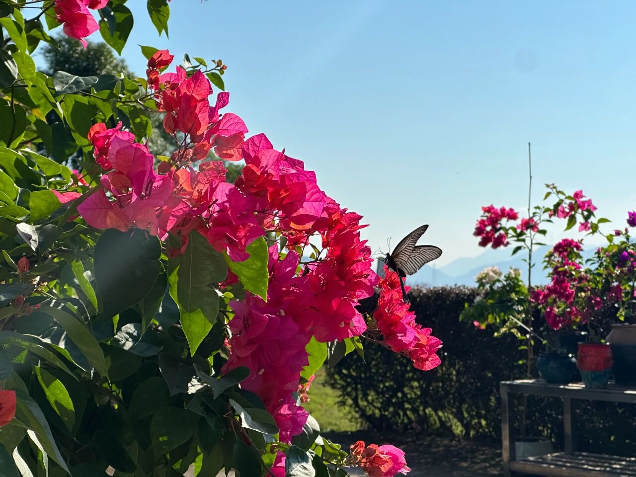 122cc太阳集成游戏(中国)有限公司官网