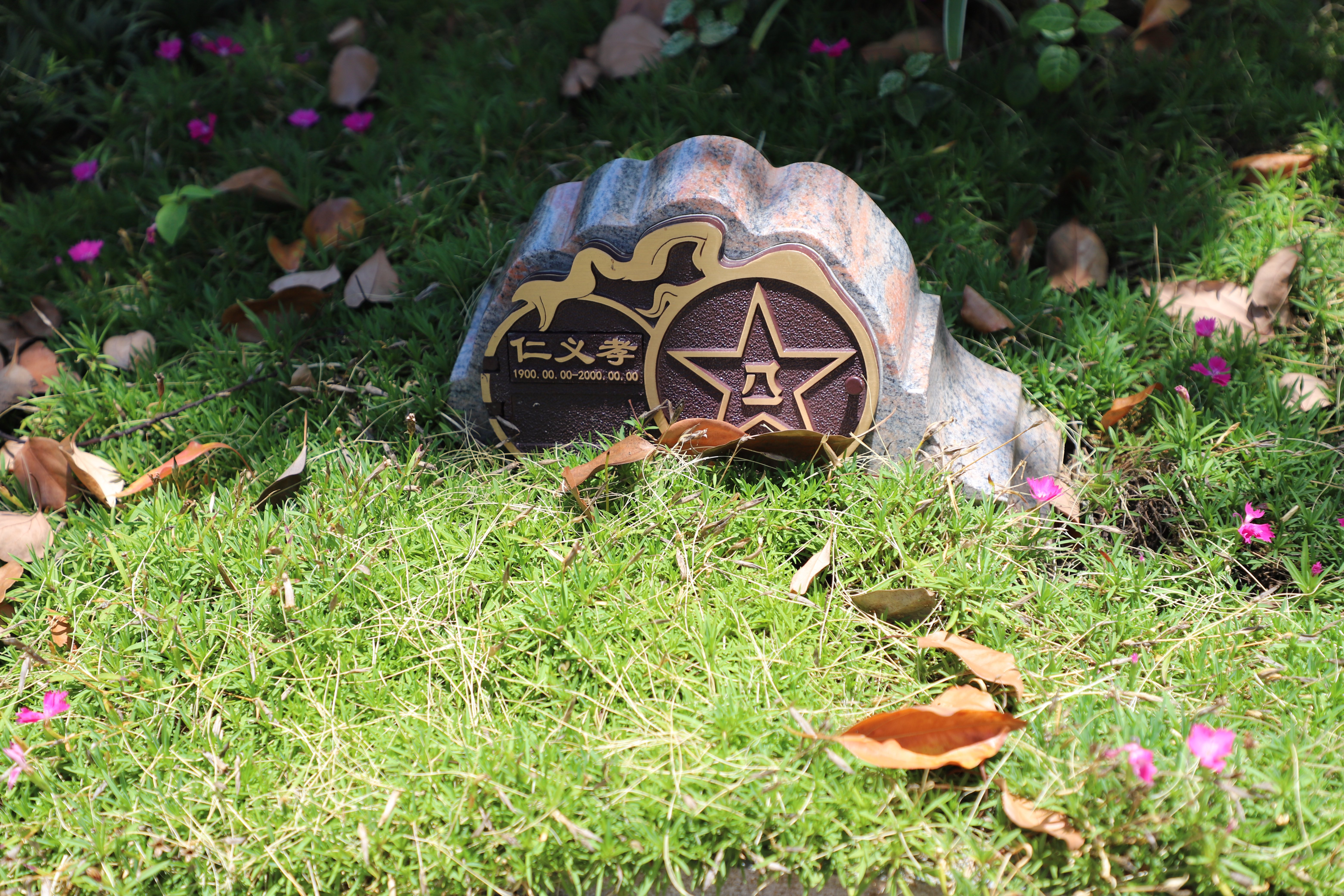 122cc太阳集成游戏(中国)有限公司官网