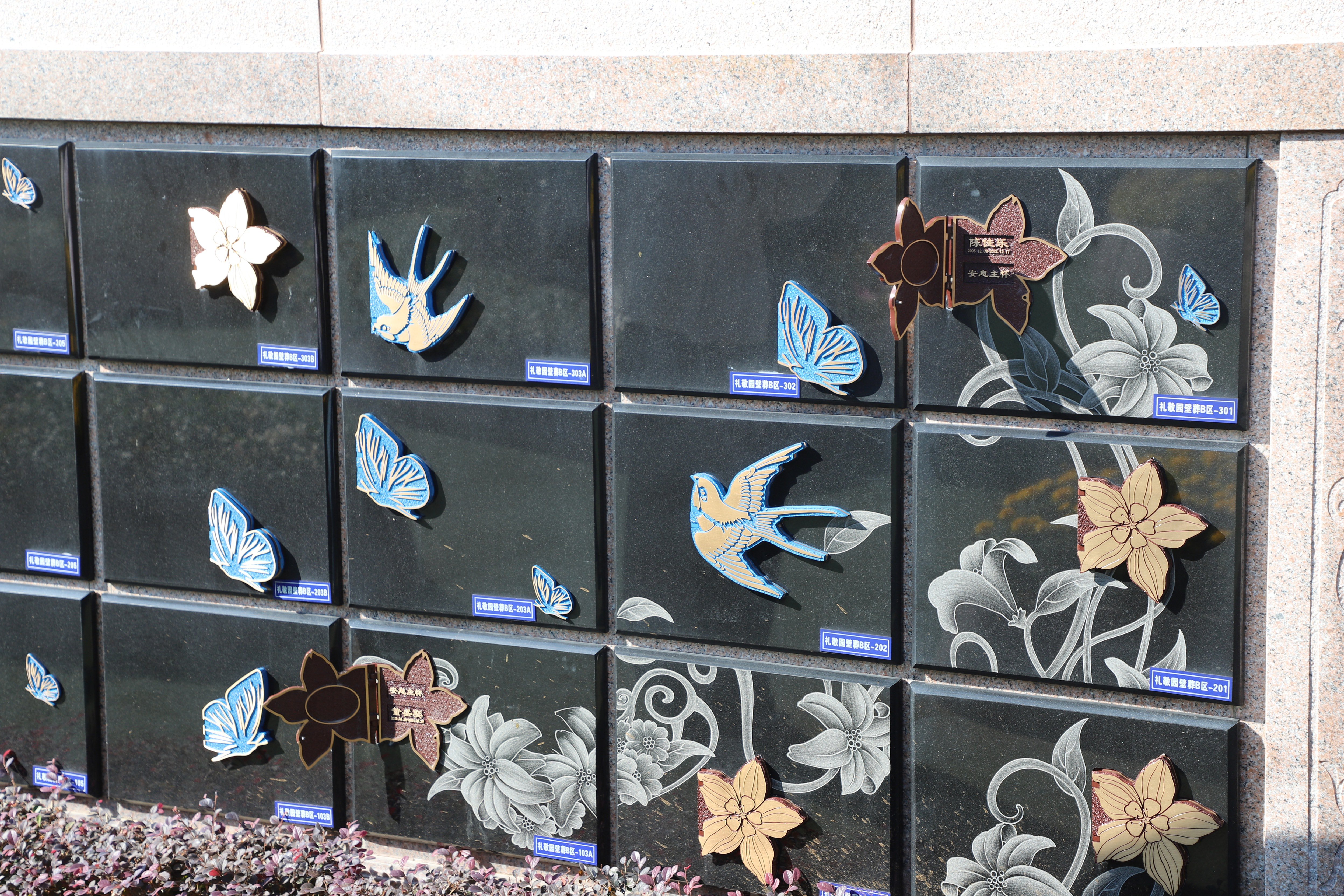 122cc太阳集成游戏(中国)有限公司官网