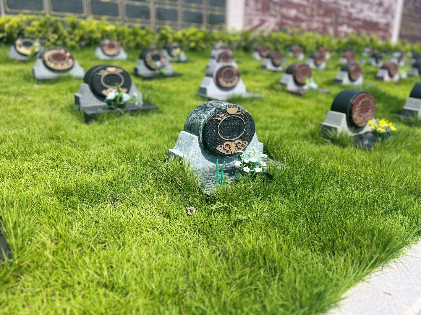 122cc太阳集成游戏(中国)有限公司官网