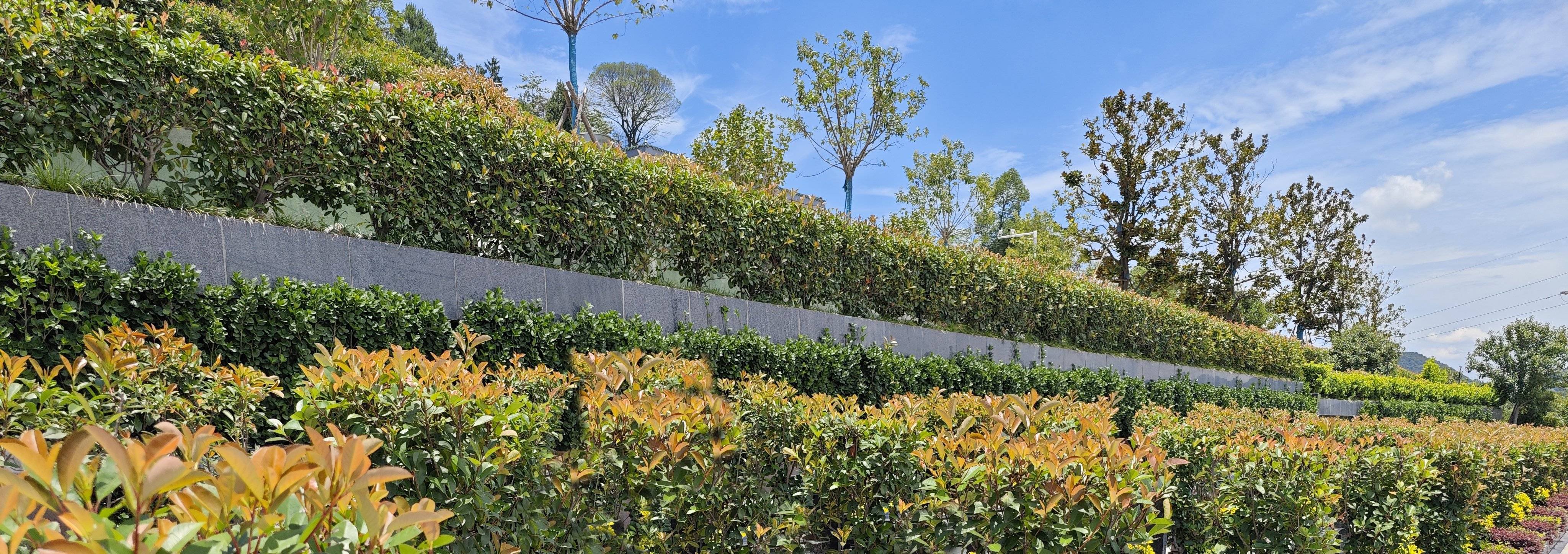 122cc太阳集成游戏(中国)有限公司官网