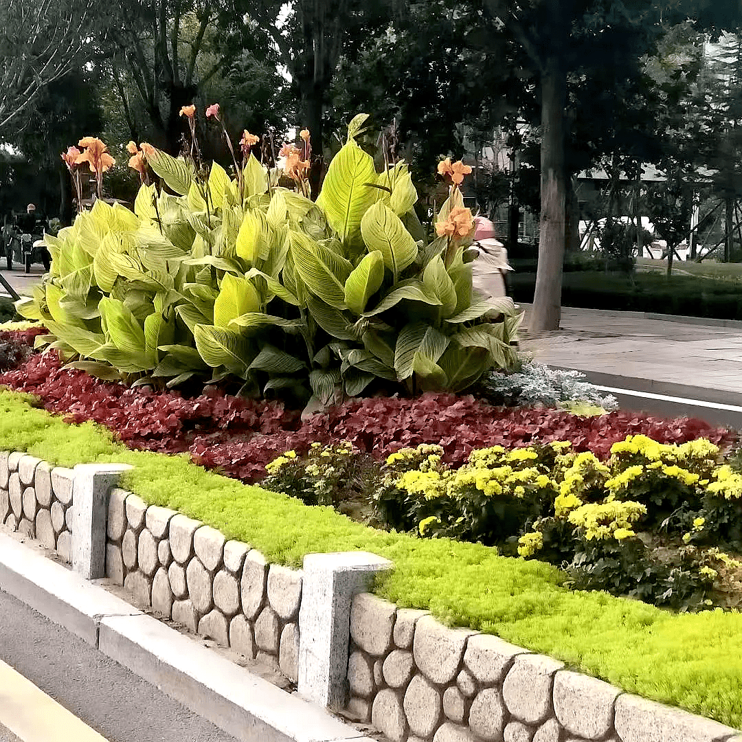 122cc太阳集成游戏(中国)有限公司官网