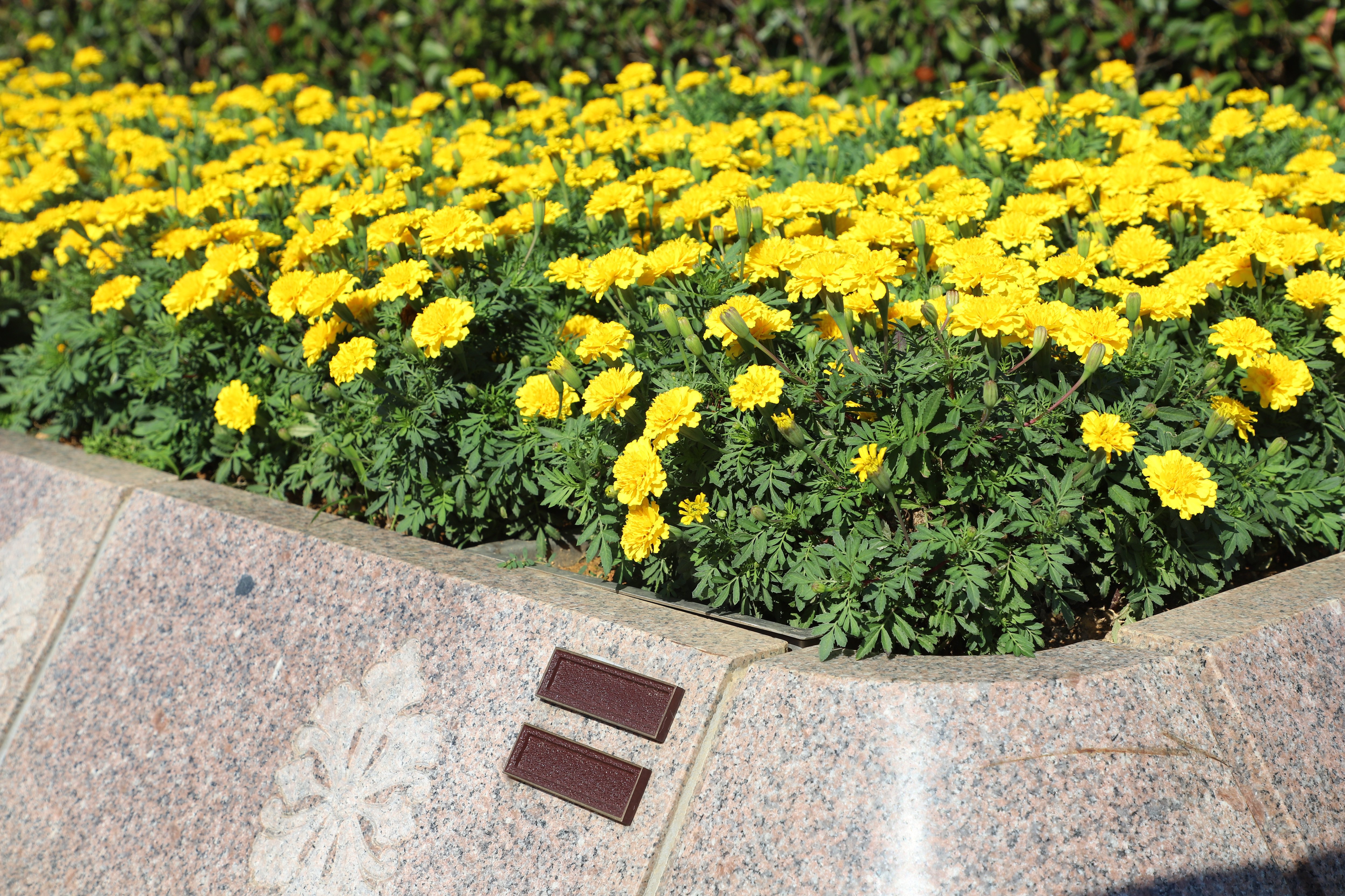 122cc太阳集成游戏(中国)有限公司官网