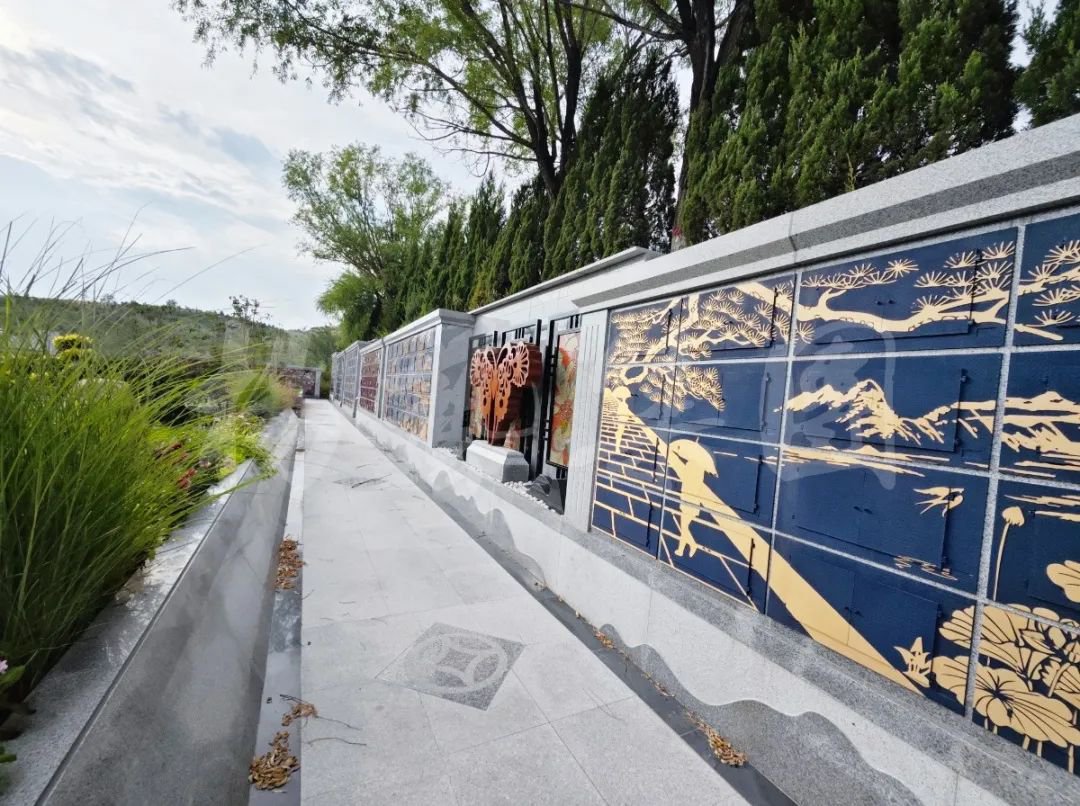 122cc太阳集成游戏(中国)有限公司官网