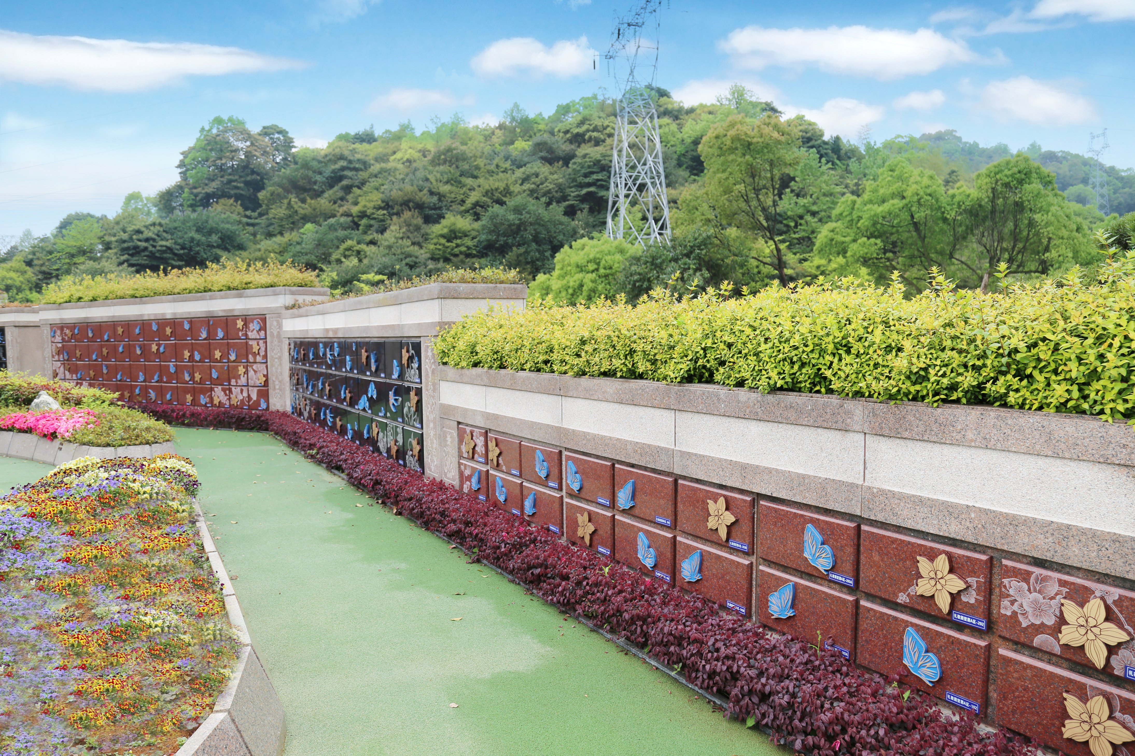 122cc太阳集成游戏(中国)有限公司官网