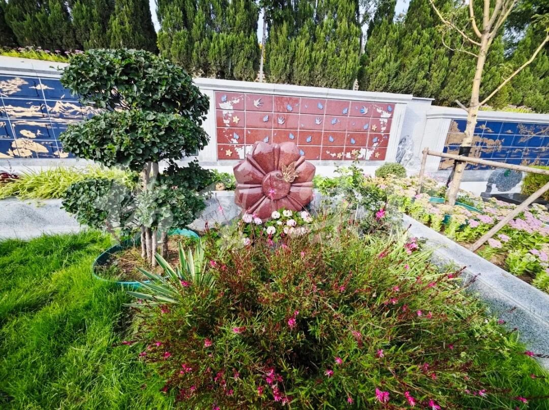 122cc太阳集成游戏(中国)有限公司官网